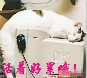 好消息,特大,注冊公司,免費,啦,為,答謝,新老, 好消息,特大,注冊公司,免費,啦,為,答謝,新老,